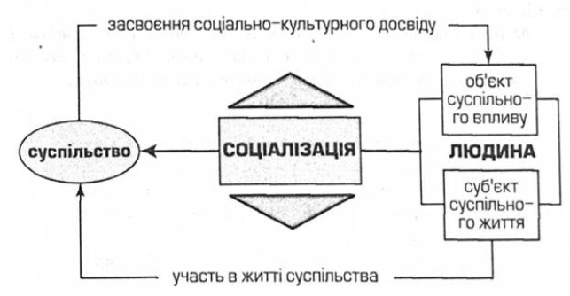 Соціалізація особистості: сутність, агенти, етапи - Загальна соціологія -  Навчальні матеріали онлайн